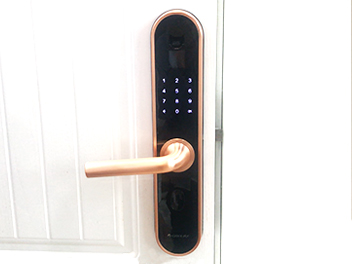 rb88随行版_官网官网入口